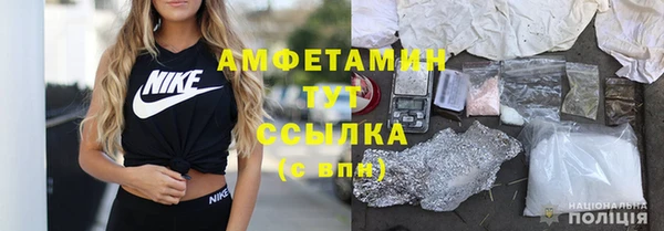 гидра Покачи