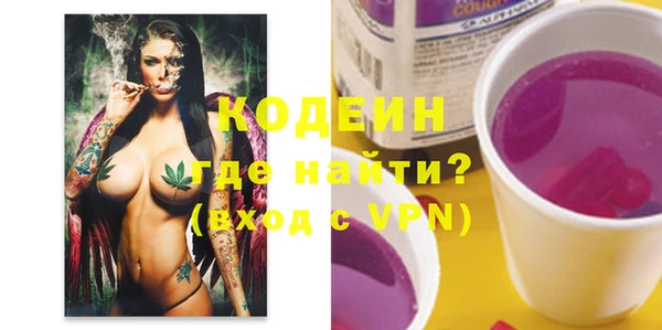 гидра Покачи