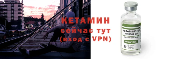 гидра Покачи