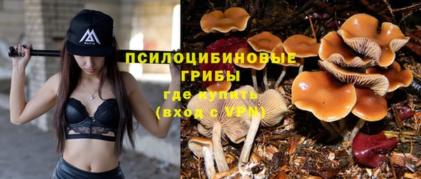 гидра Покачи
