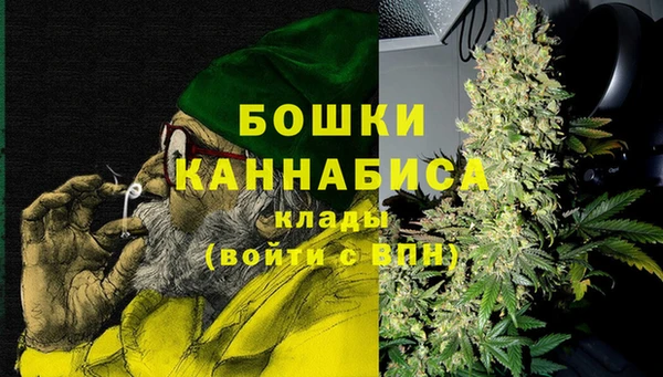 ГАЛЛЮЦИНОГЕННЫЕ ГРИБЫ Пересвет