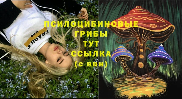 твердый Губаха