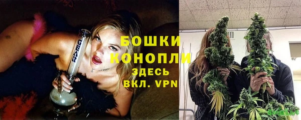 ГАЛЛЮЦИНОГЕННЫЕ ГРИБЫ Пересвет