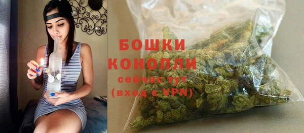 ГАЛЛЮЦИНОГЕННЫЕ ГРИБЫ Пересвет